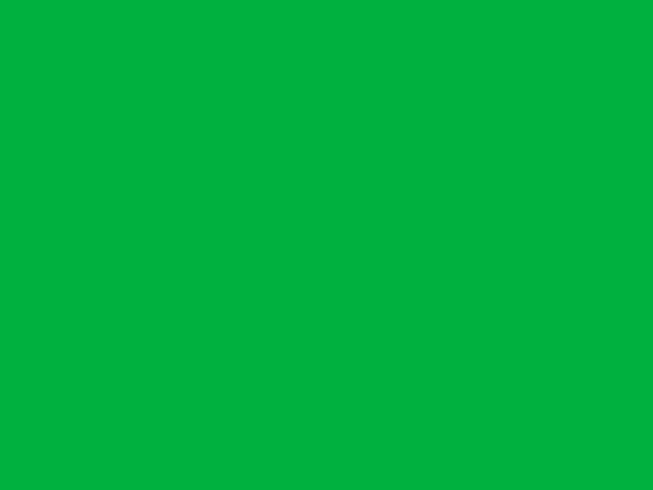Greenscreen 6x3m motorisé